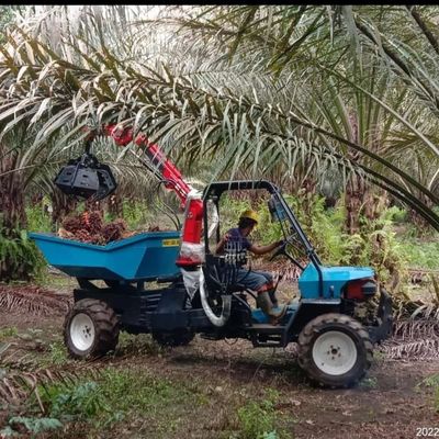 Offener Fahrerhaus-Traktor für Palmöl-Plantagen mit Zapfwellendrehzahl 240-1340rpm und landwirtschaftlichem Reifen