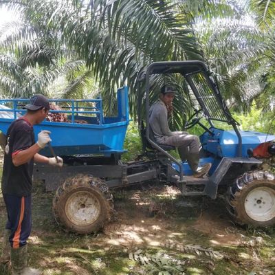 Hydraulisches System Palmöltraktor für landwirtschaftliche Palmölplantagen
