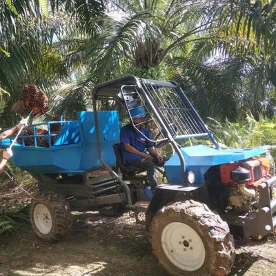 Hydraulisches System Palmöltraktor für landwirtschaftliche Palmölplantagen