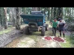 WEA08 PALMÖL-TRAKTOR