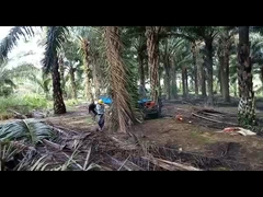 4 Radantrieb 14 PS Diesel-Palmöl-Traktor Ausrüstung Radstand 2150 mm