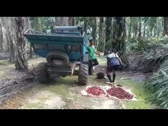 1325mm halten sich offenes Fahrerhaus-Palmöl-Erntemaschine-Gewicht 1250kg mit fest