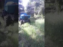 Landwirtschaftsreifen-Typ Palmöl-Traktor mit Dieselmotor