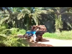 Hydraulisches System Palmöl-Traktor-Maschine für effiziente Palmölgewinnung