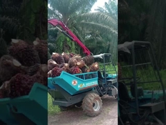22 PS Indonesien Palmöl-Traktor Mini-Farm-Traktor mit Greifen
