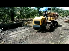 Hydraulischer Mini-Landwirtschafts-Traktor 14 PS Motor Kraft-Traktor für Palmölplantagen